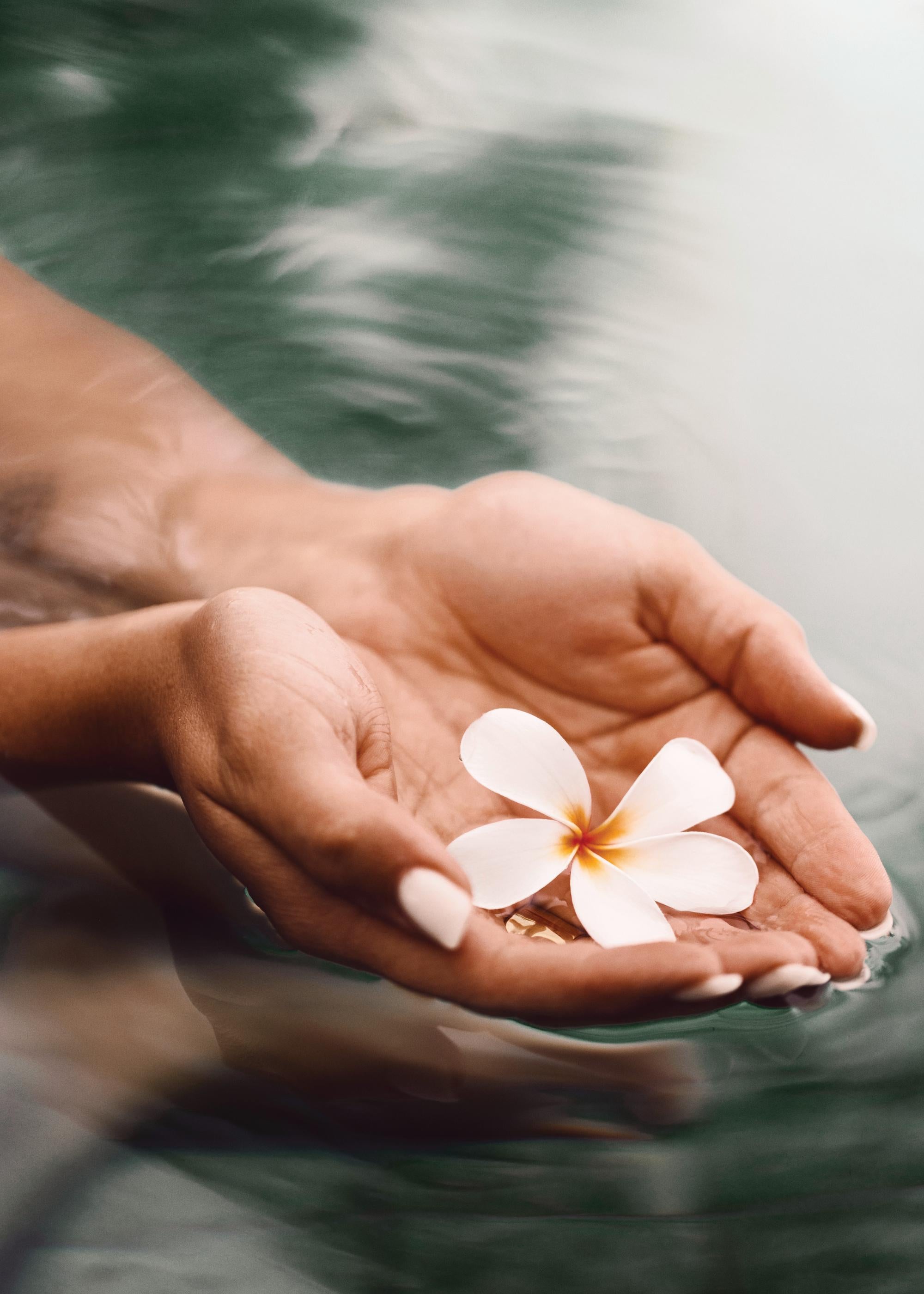 Thai Water Blossom Print
