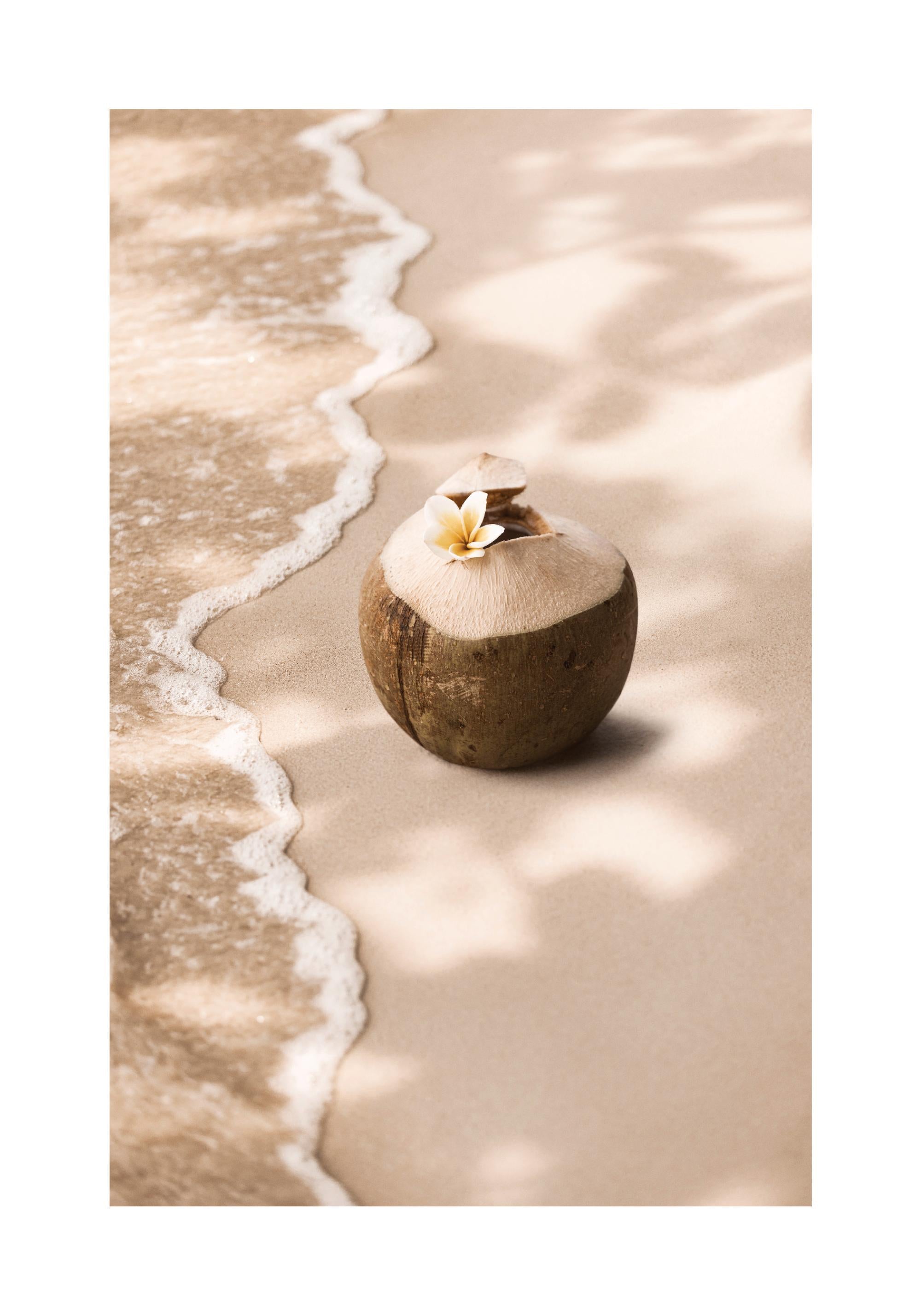 Coconut Breeze Print