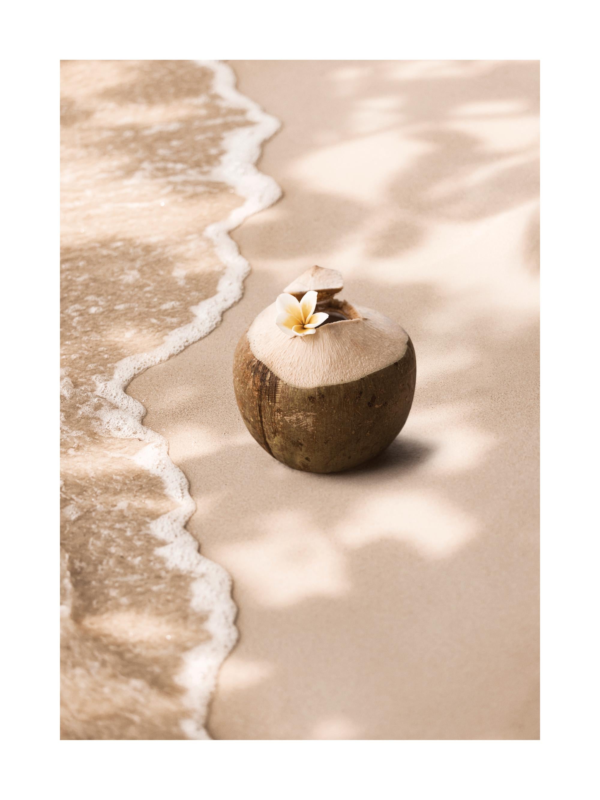 Coconut Breeze Print