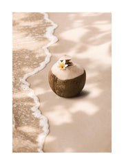 Coconut Breeze Print