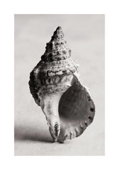 The Art of the Sea Print