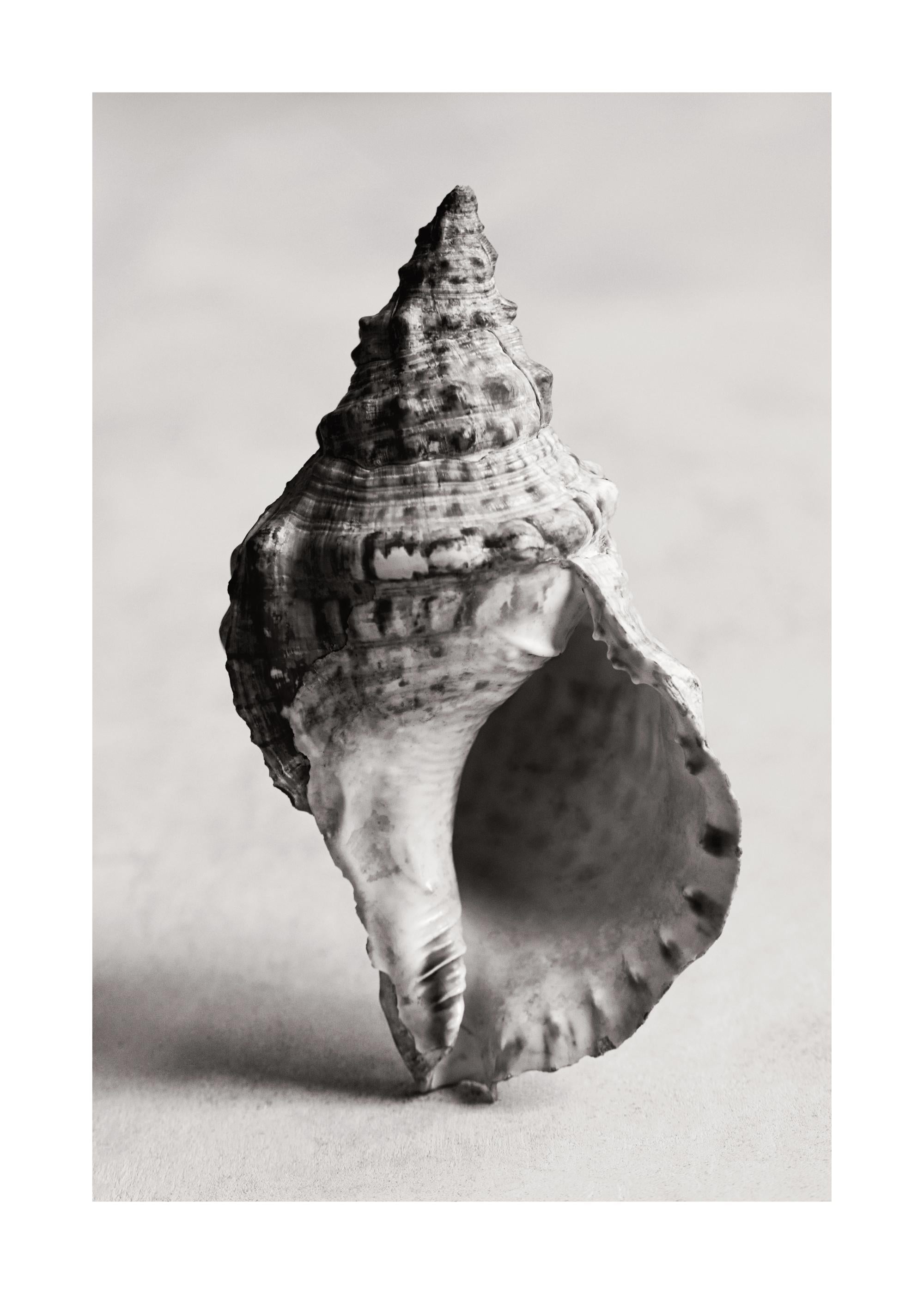 The Art of the Sea Print