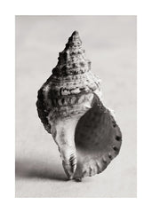 The Art of the Sea Print