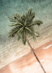 Coastal Crown Print