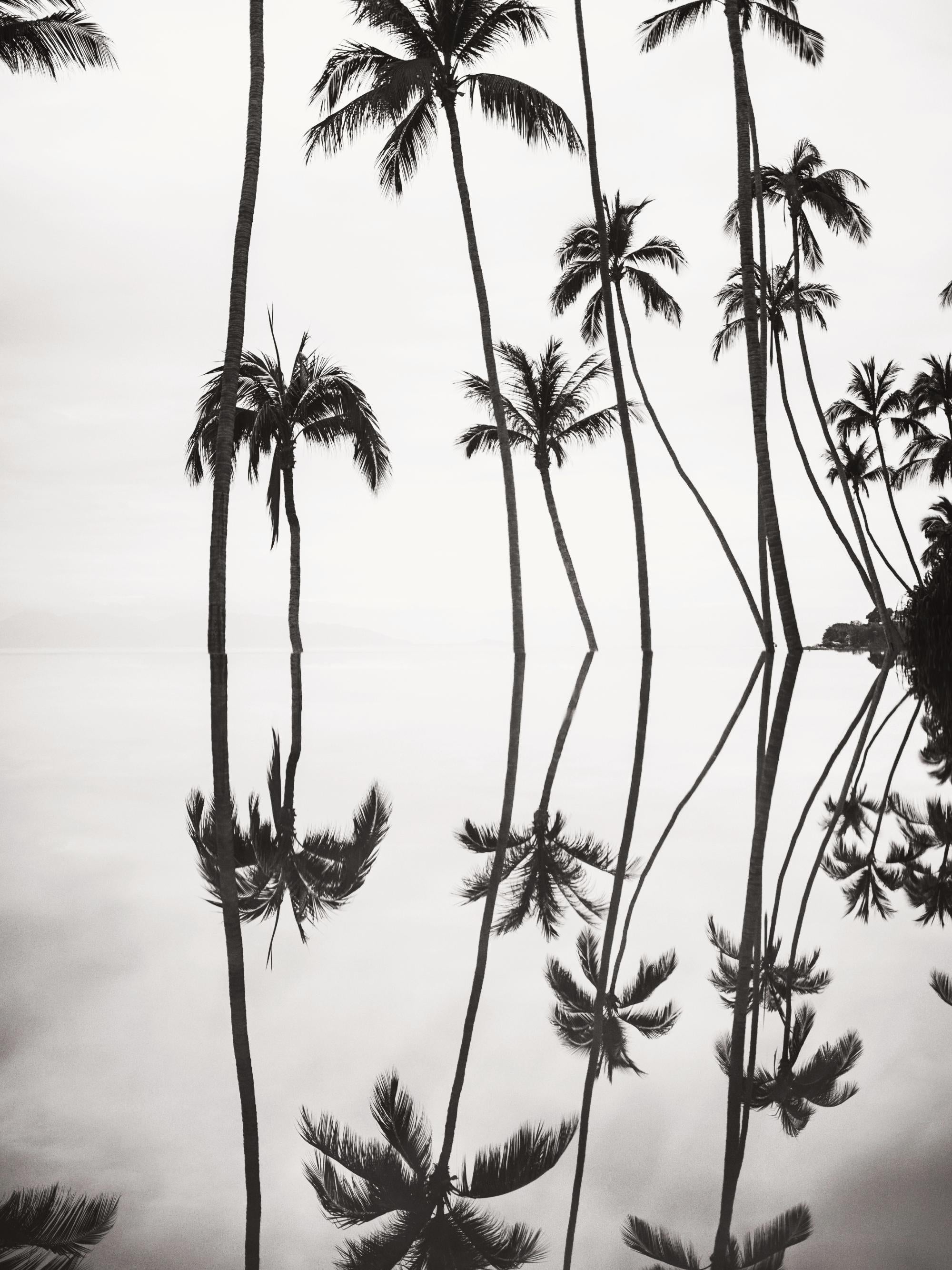 Tranquil Reflection Print