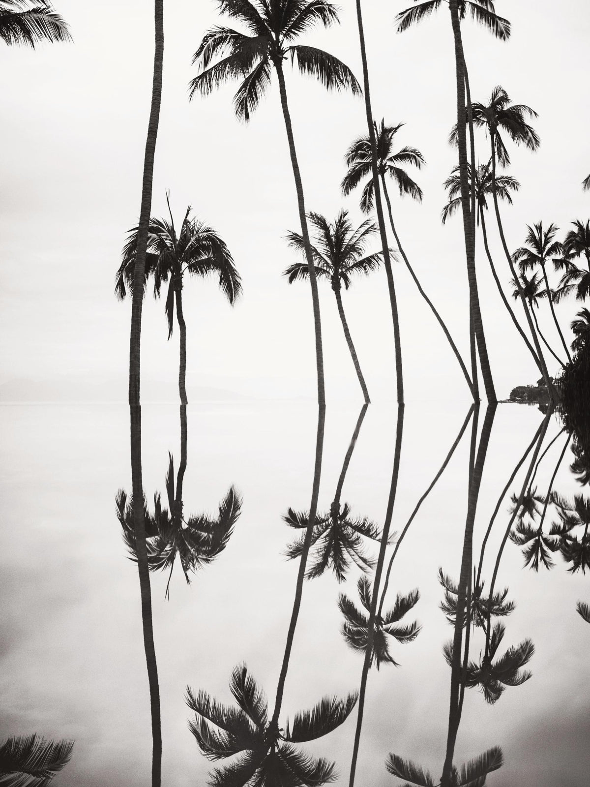 Tranquil Reflection Print