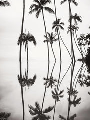 Tranquil Reflection Print