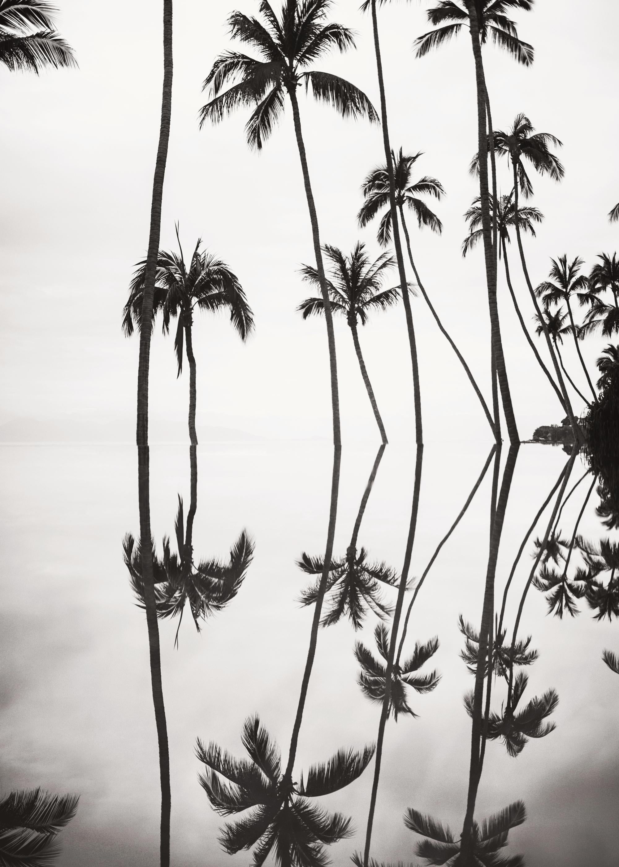 Tranquil Reflection Print
