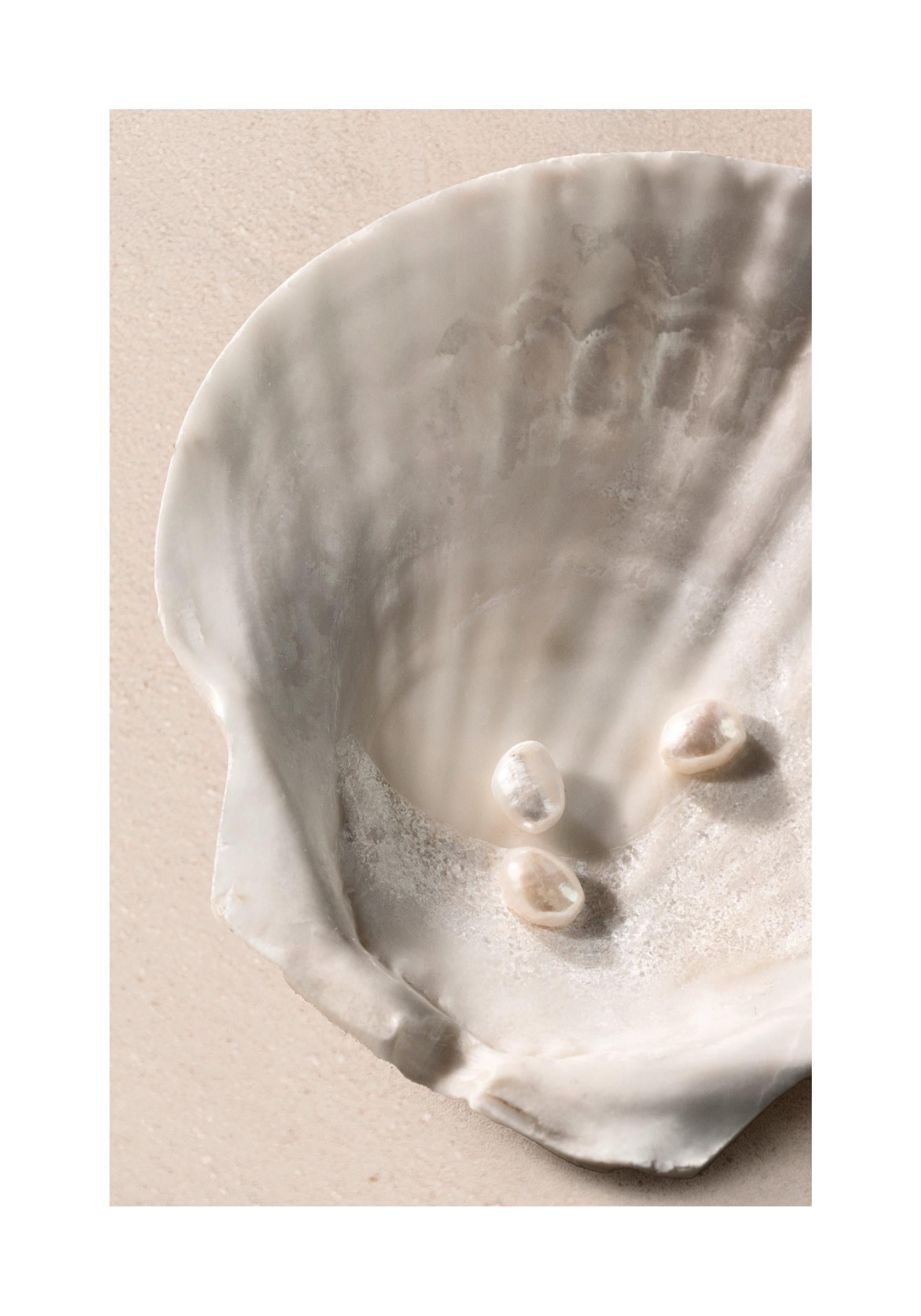 Ocean's Jewels Print