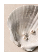 Ocean's Jewels Print