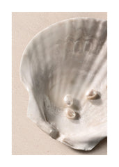 Ocean's Jewels Print