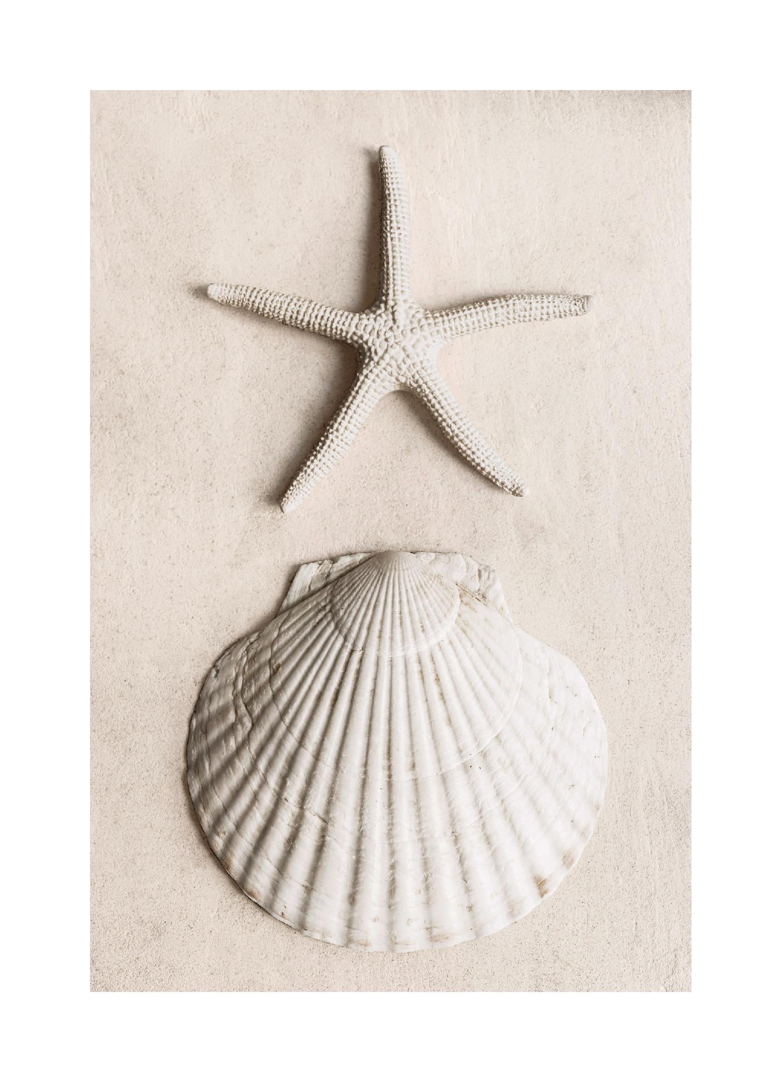 Tidal Secrets Print