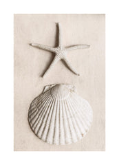 Tidal Secrets Print