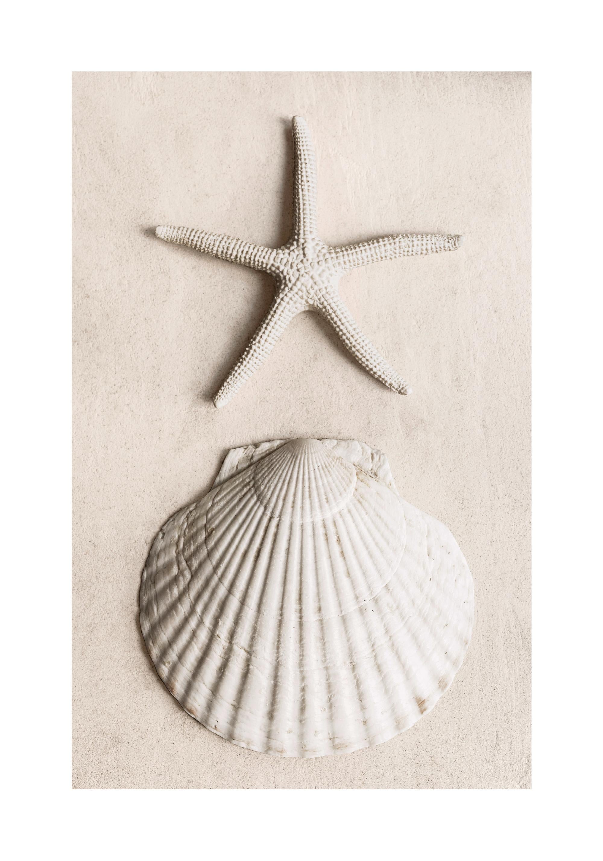 Tidal Secrets Print
