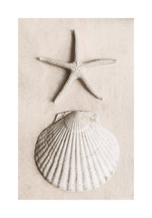 Tidal Secrets Print