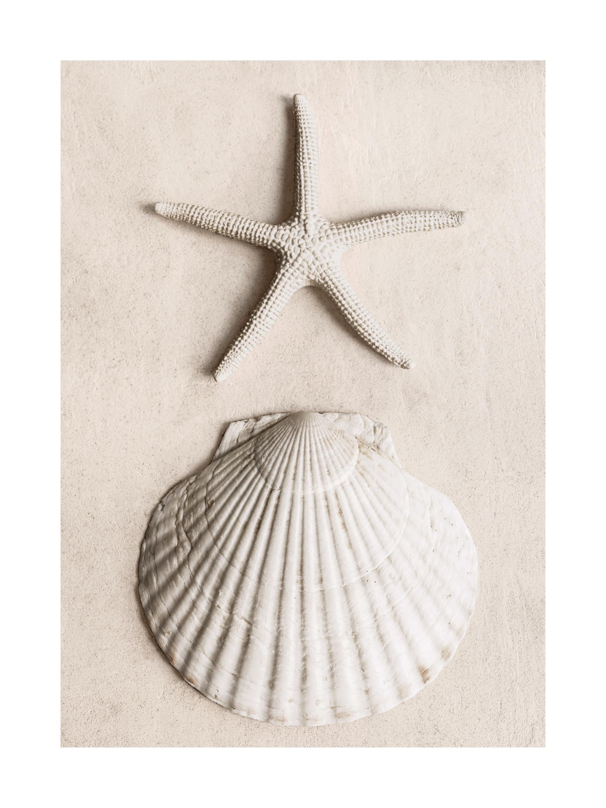 Tidal Secrets Print