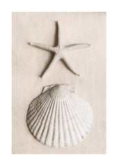 Tidal Secrets Print