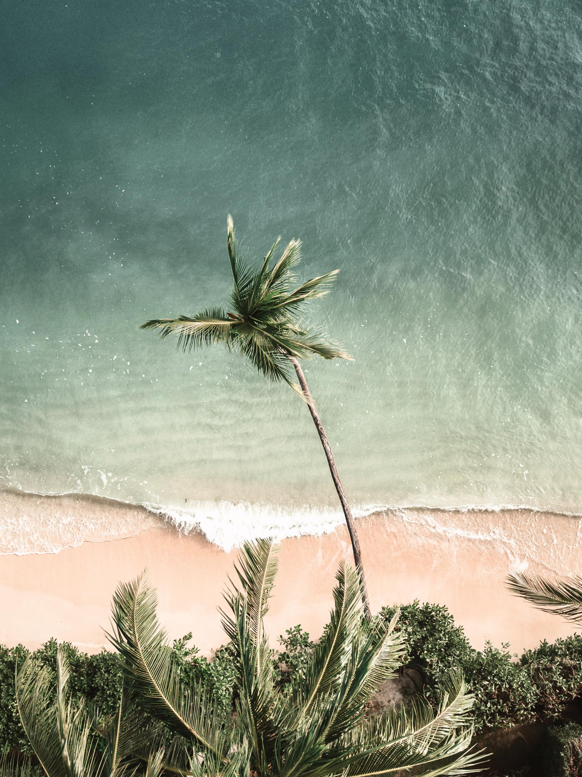 Waves of Time Print