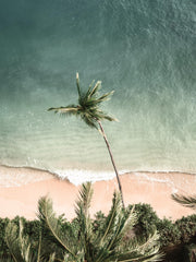Waves of Time Print
