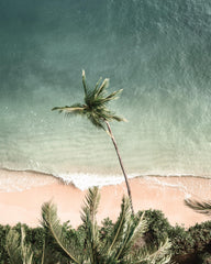 Waves of Time Print