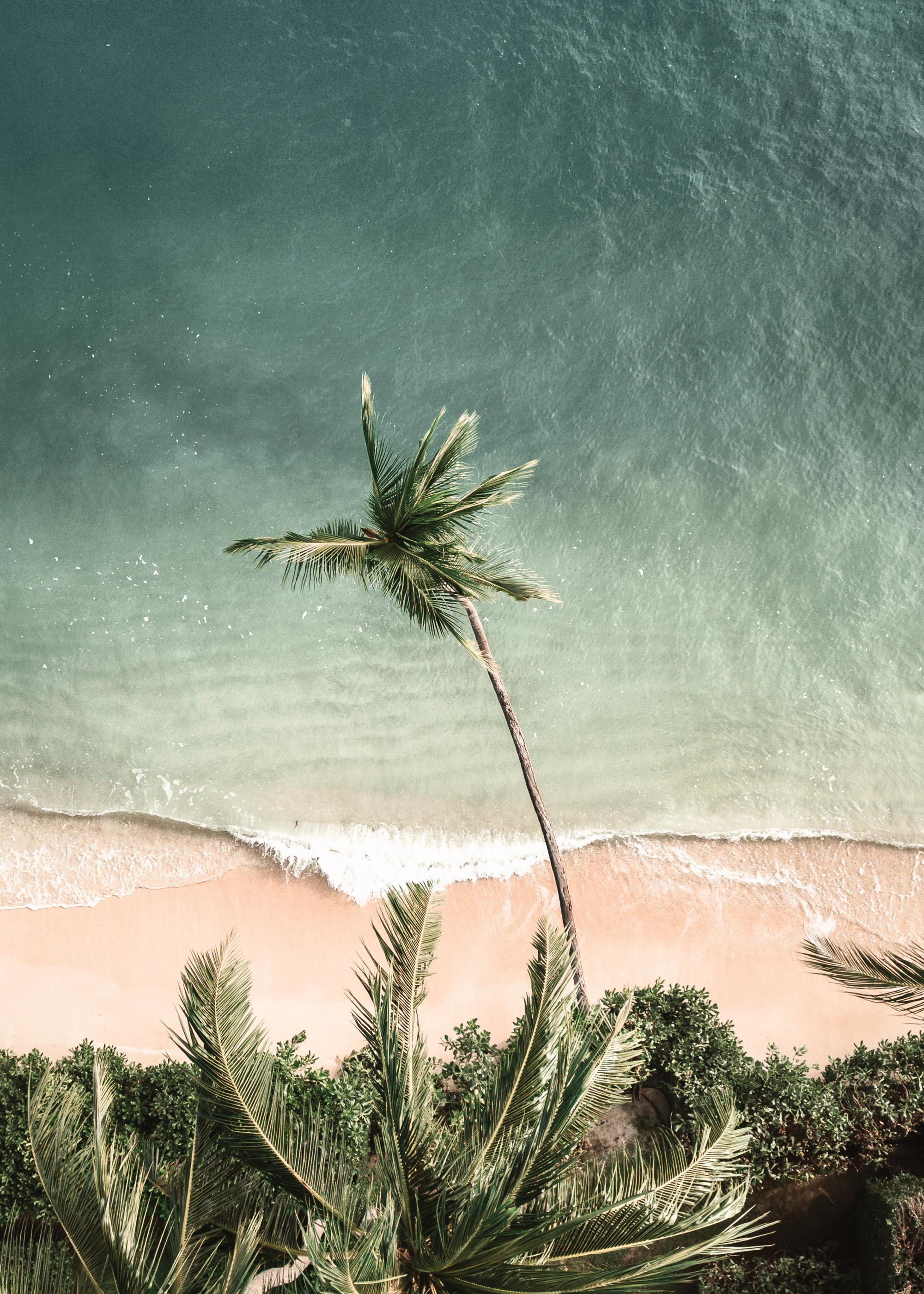 Waves of Time Print