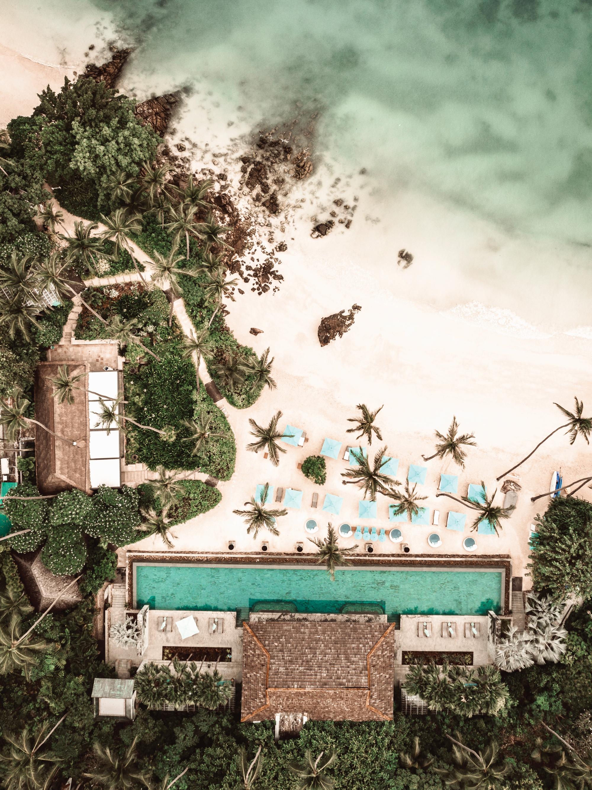 Tropical Escape Print