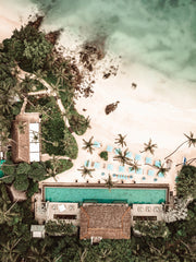 Tropical Escape Print