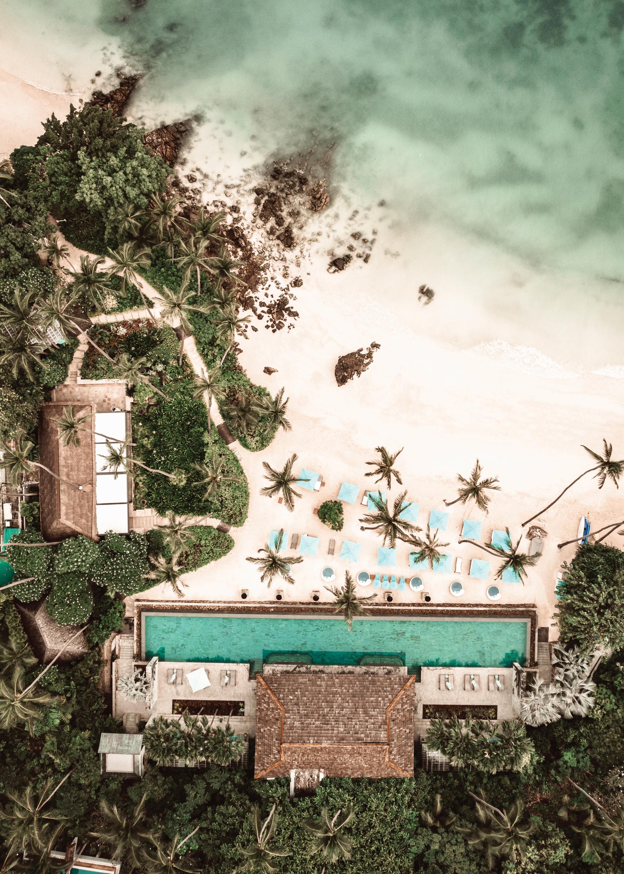Tropical Escape Print