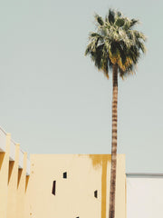 Palm Springs Serenity Print