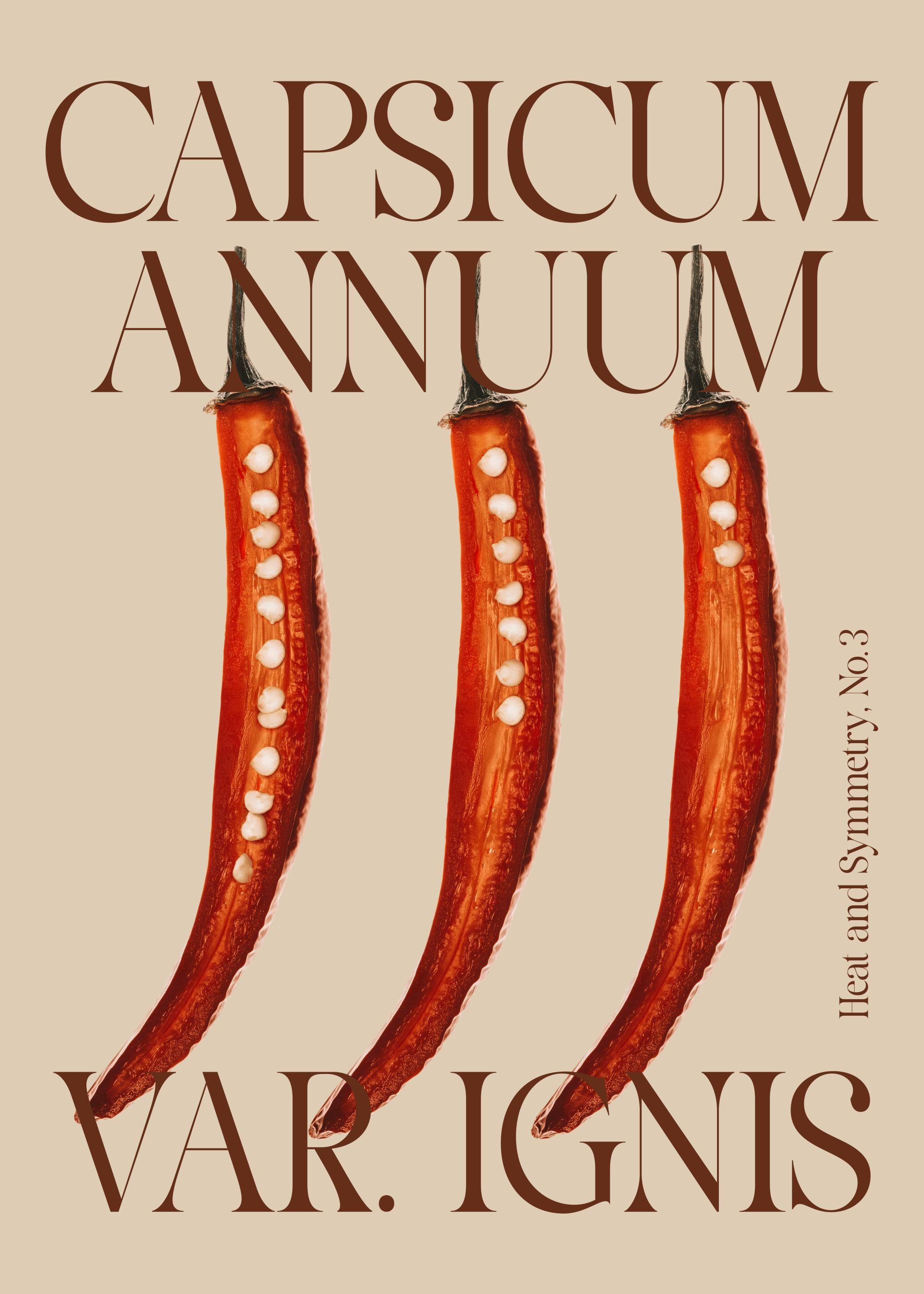 Fiery Chili Pepper Print