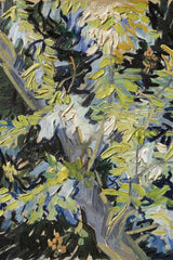 Van Gogh - Blossoming Acacia Branches Print