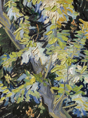 Van Gogh - Blossoming Acacia Branches Print
