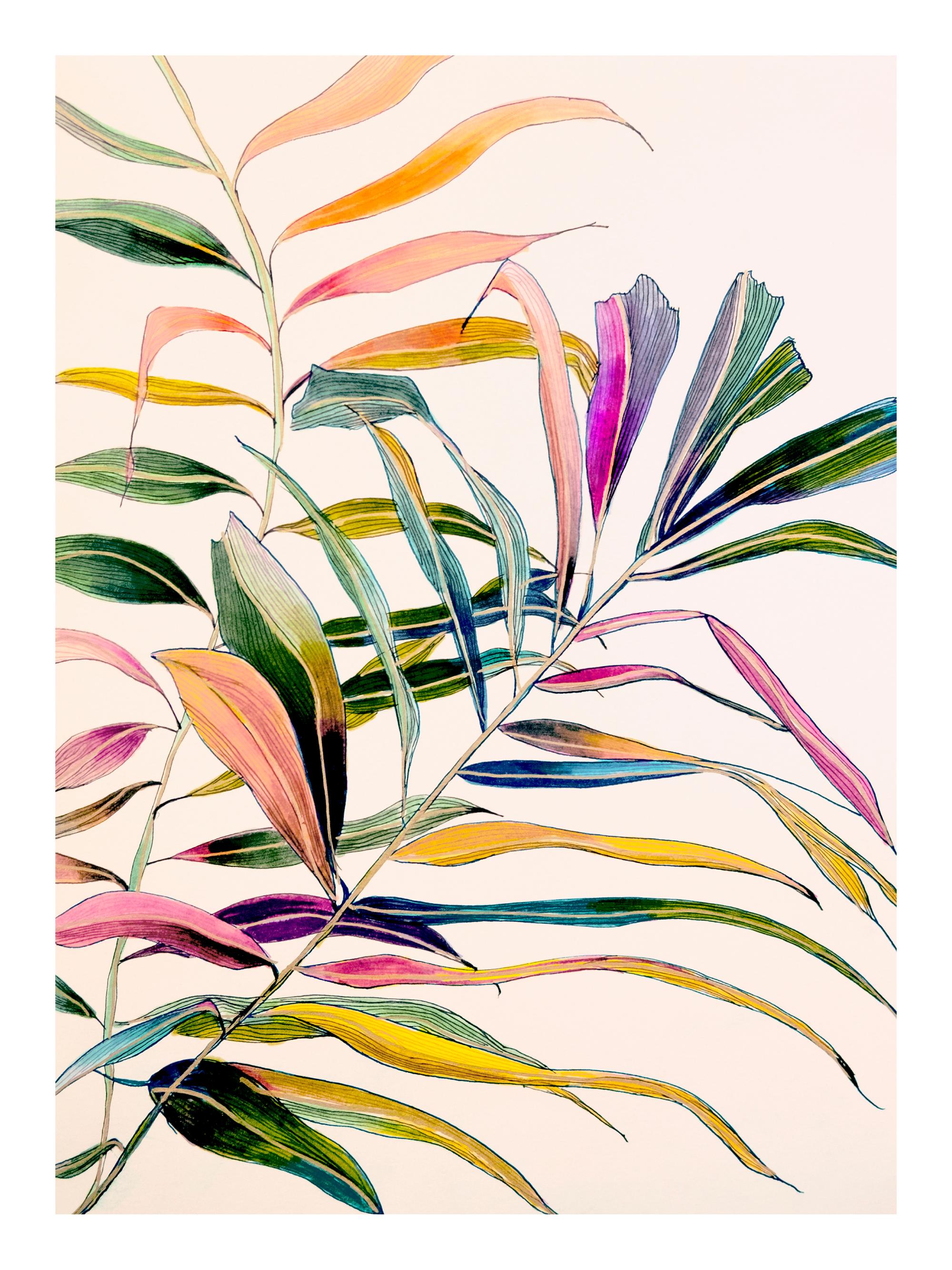 Leigh Viner - Palm in Color Print