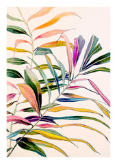 Leigh Viner - Palm in Color Print