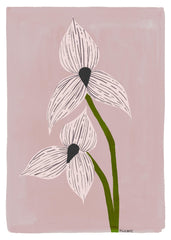 Megan Galante - Orchid Portrait Print