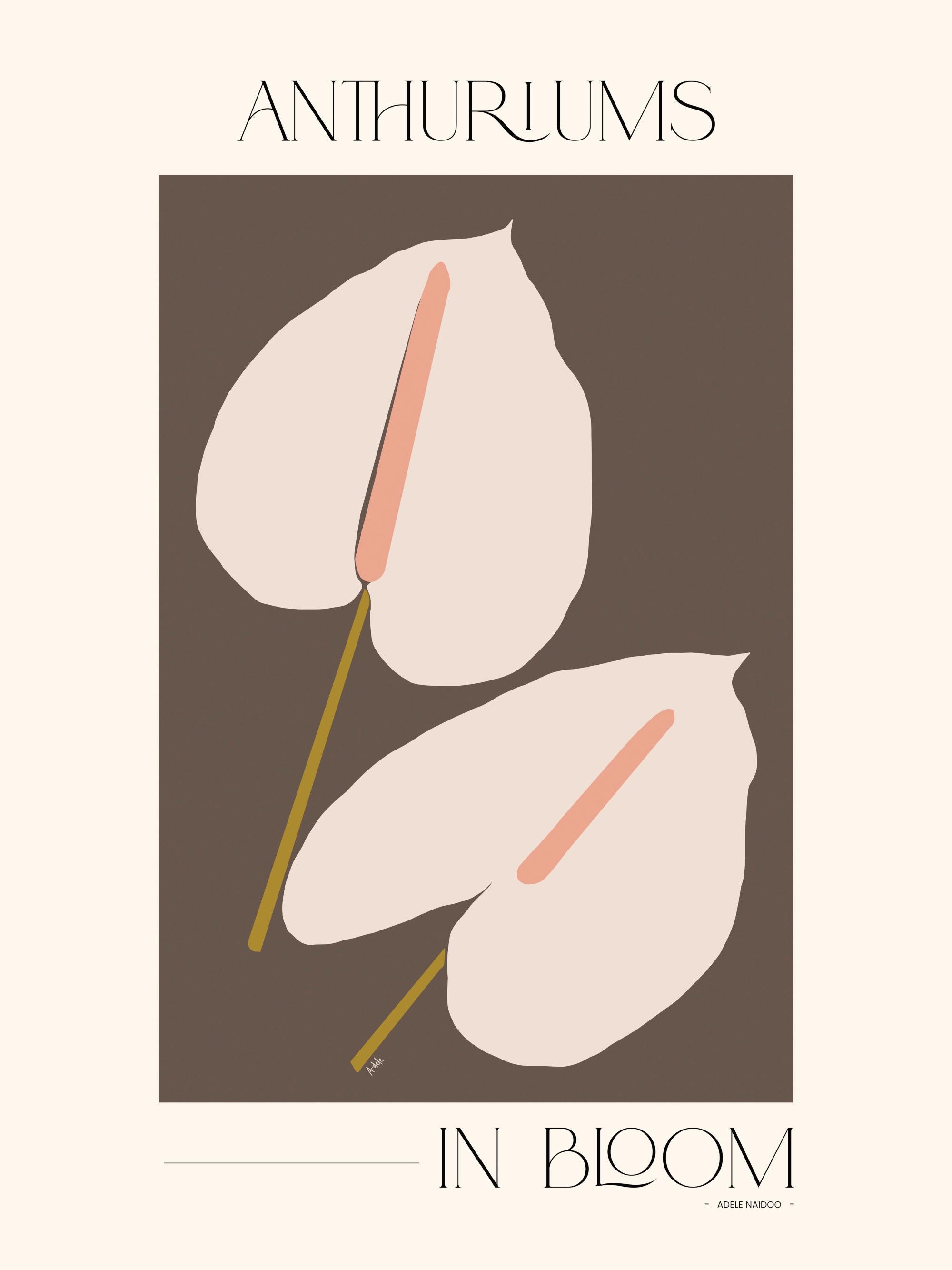 Adele Naidoo - Anthuriums in Bloom Print