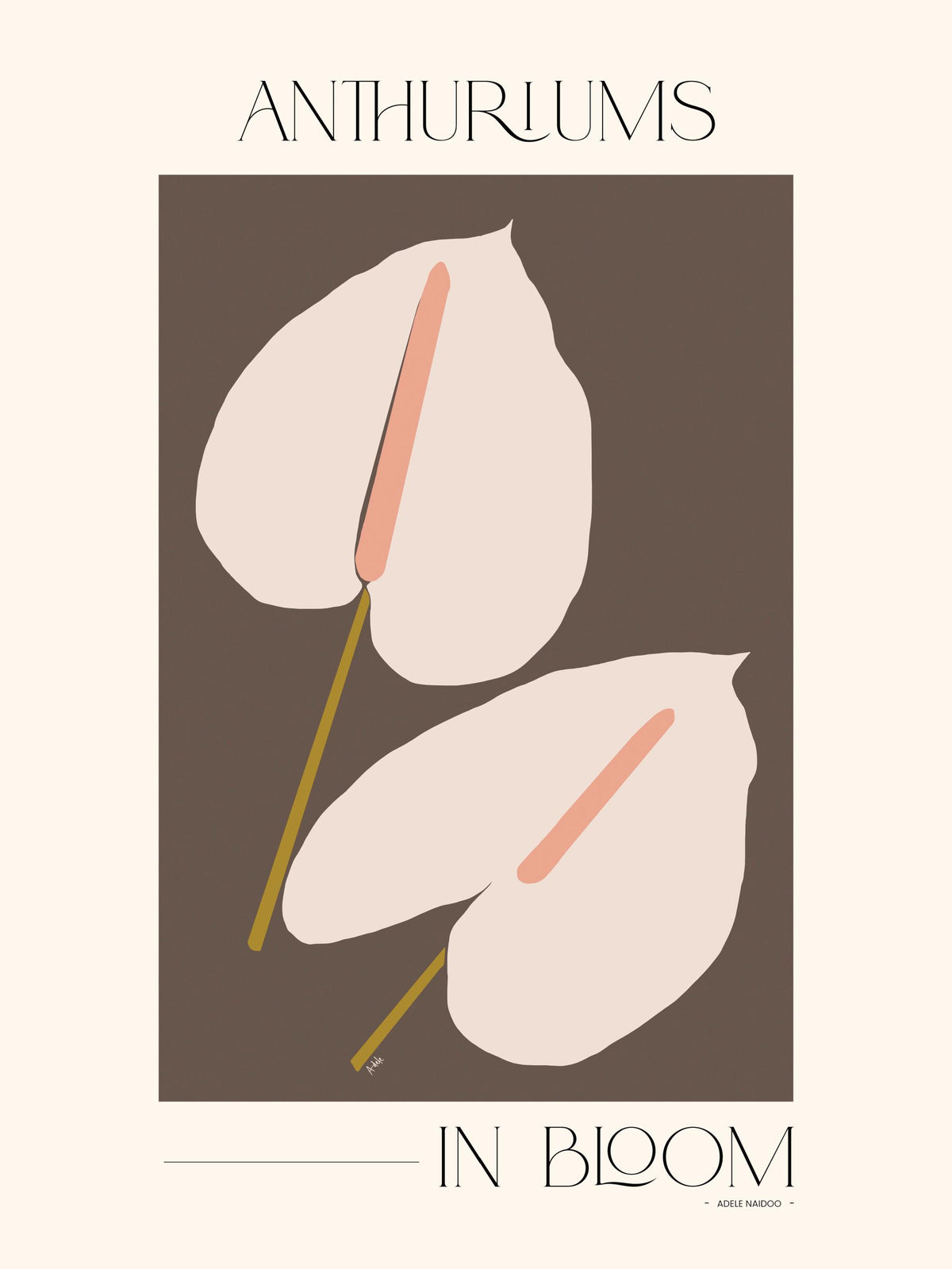 Adele Naidoo - Anthuriums in Bloom Print