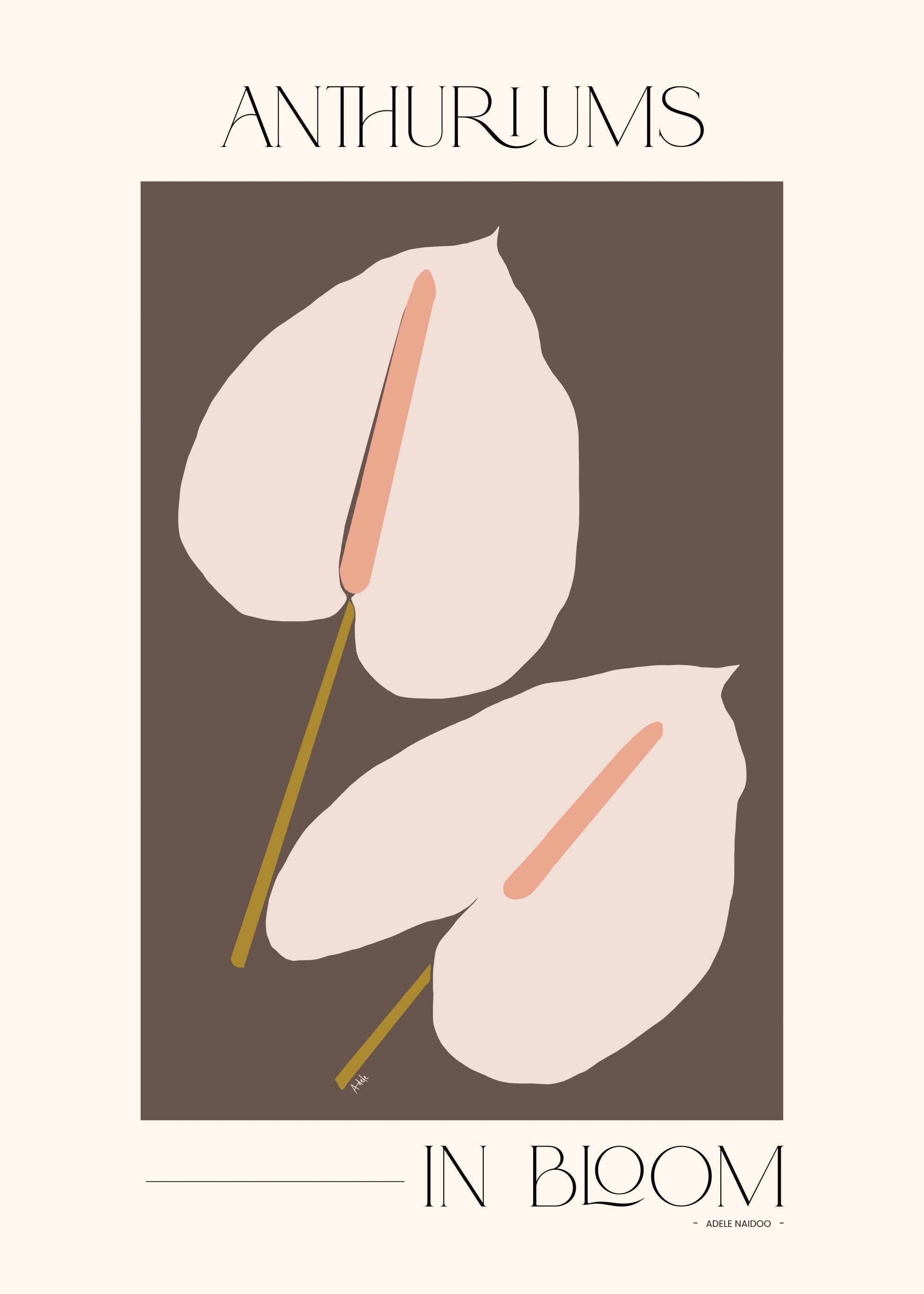 Adele Naidoo - Anthuriums in Bloom Print