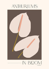 Adele Naidoo - Anthuriums in Bloom Print