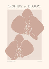 Adele Naidoo - Orchids in Bloom Print