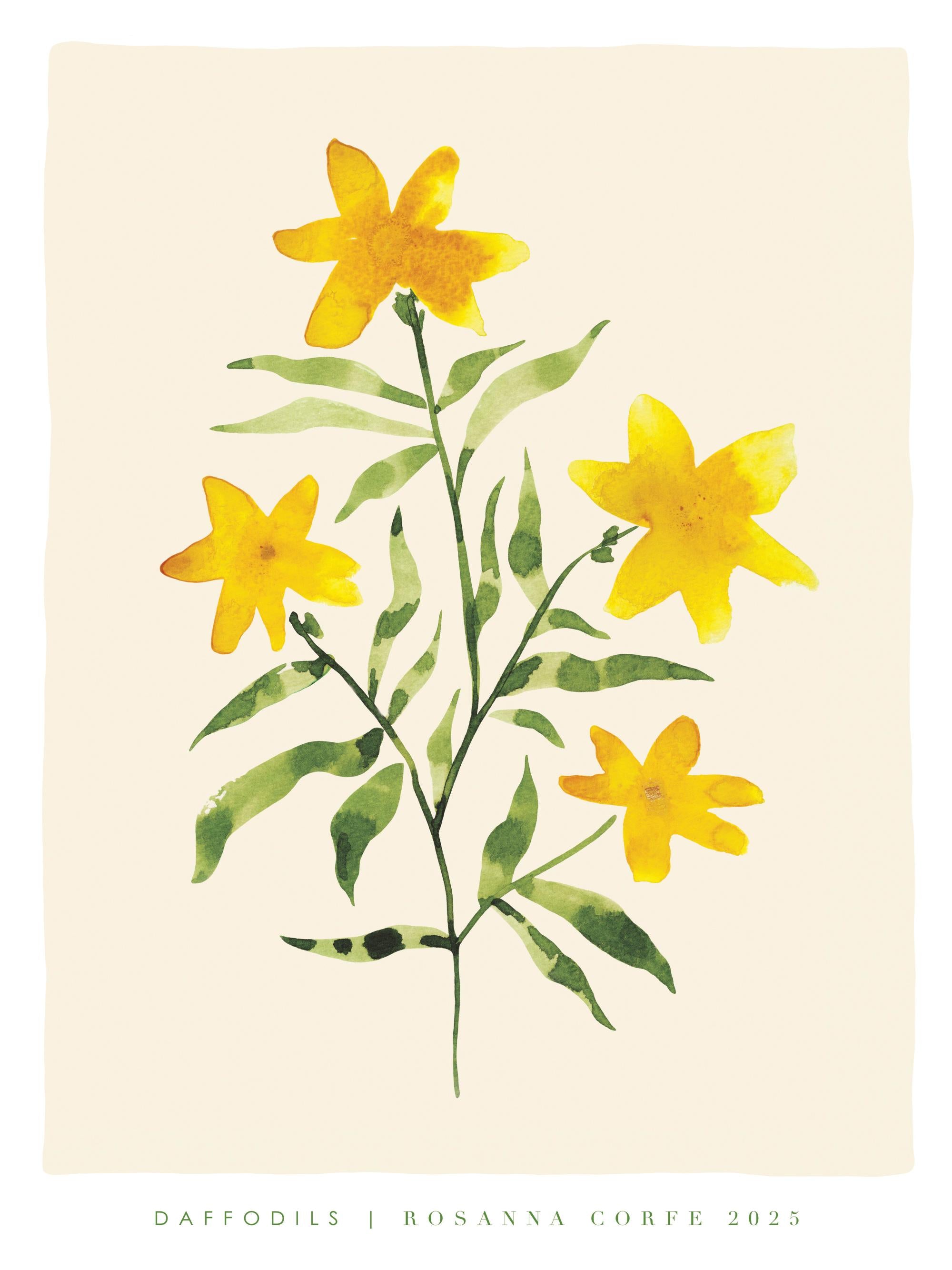 Rosanna Corfe - Daffodils Print