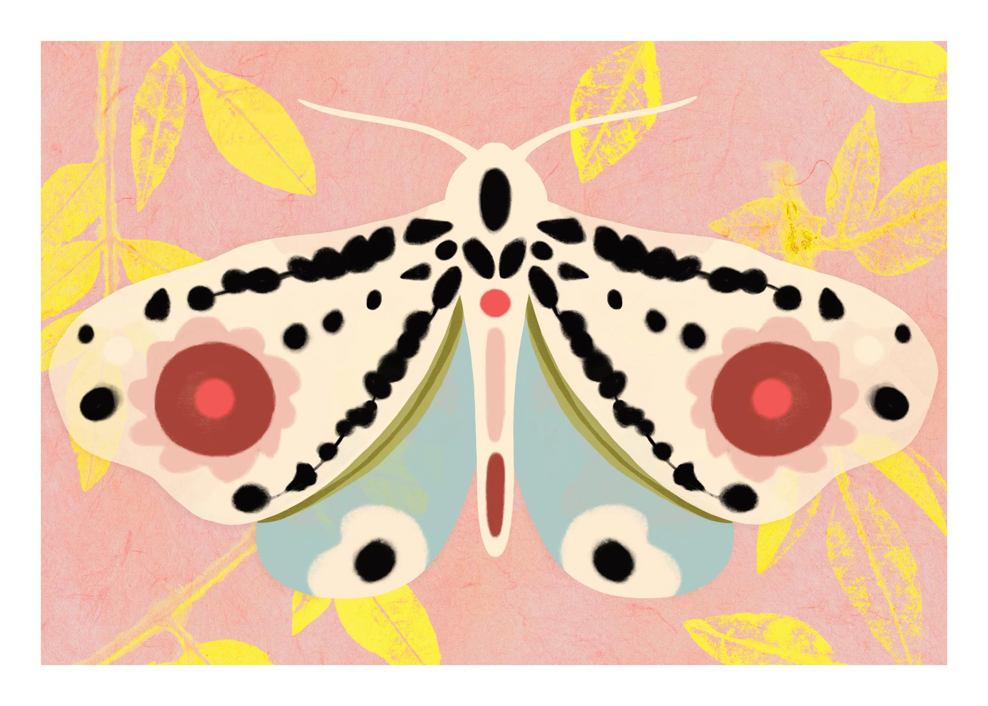 Sylvia Takken - Transformation Print