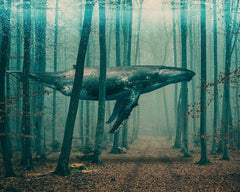 Whale in Forest Print