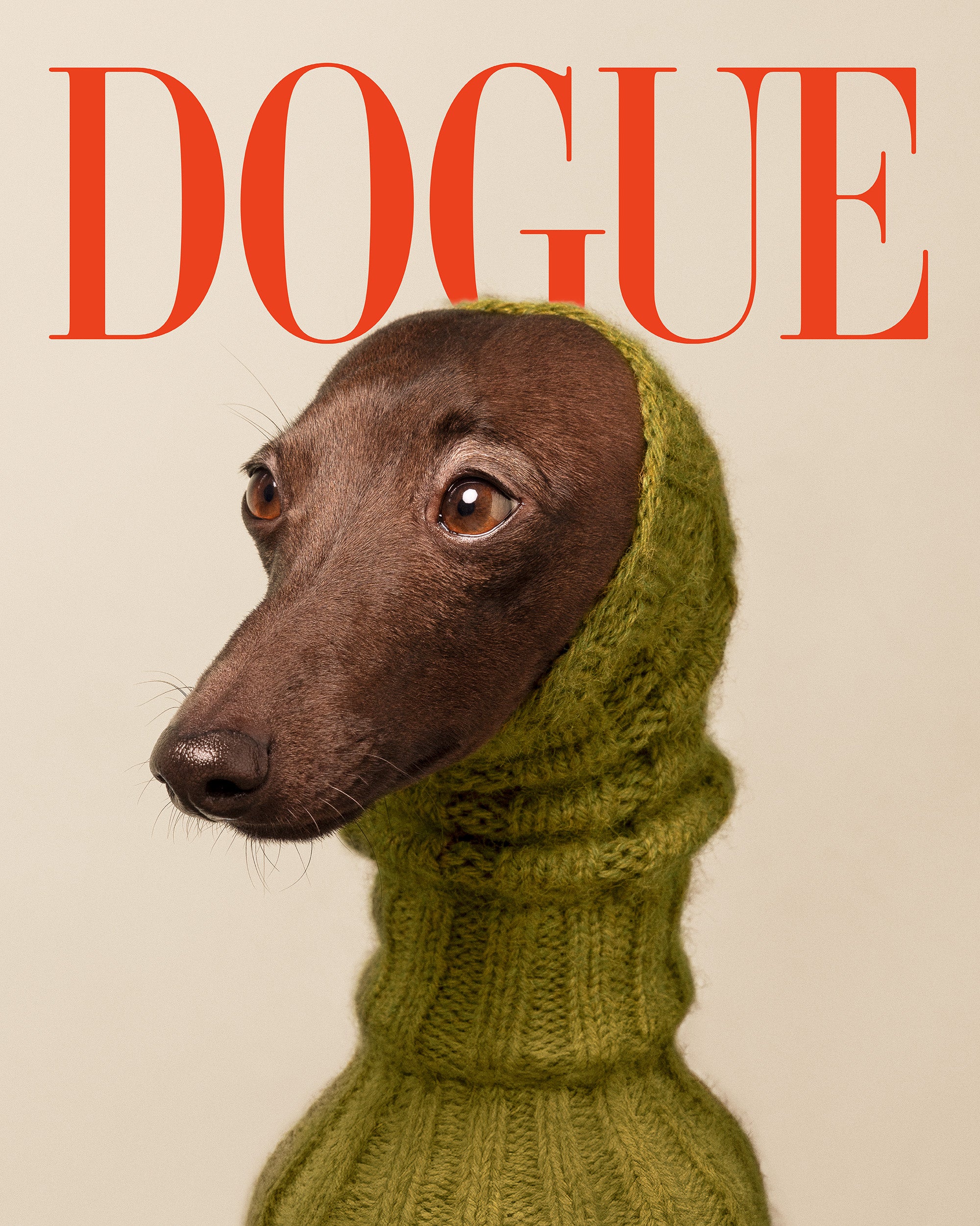 Dogue No2 Print