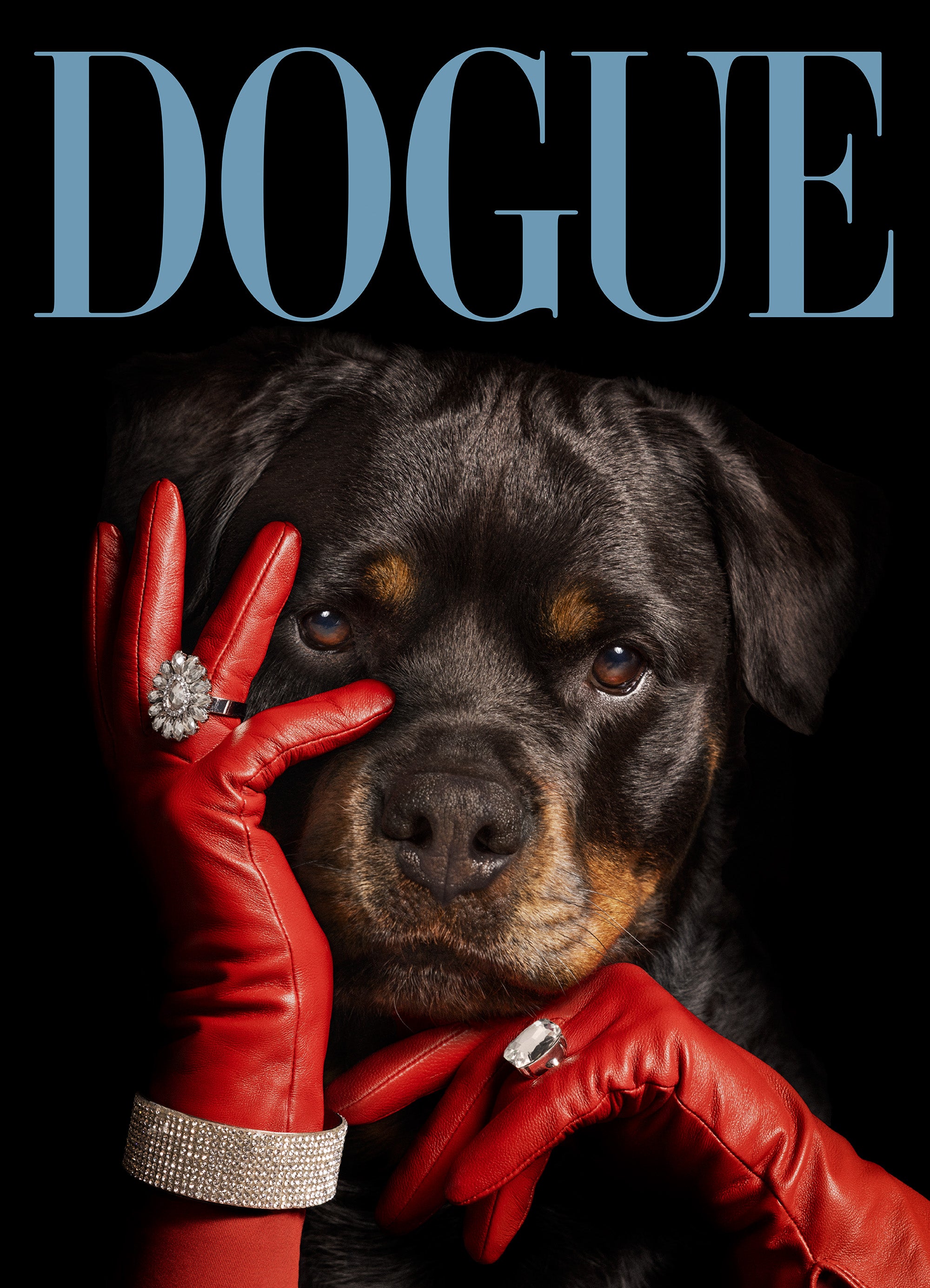 Dogue No3 Print