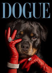 Dogue No3 Print