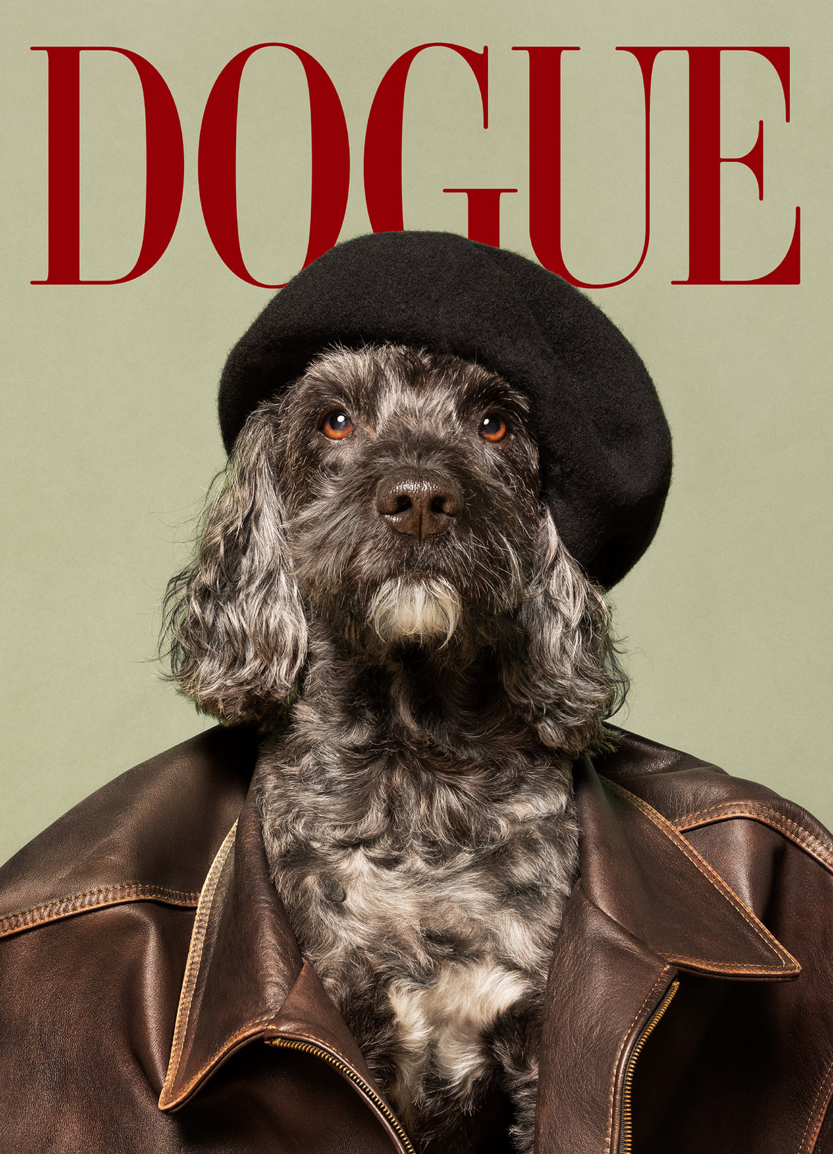 Dogue No4 Print