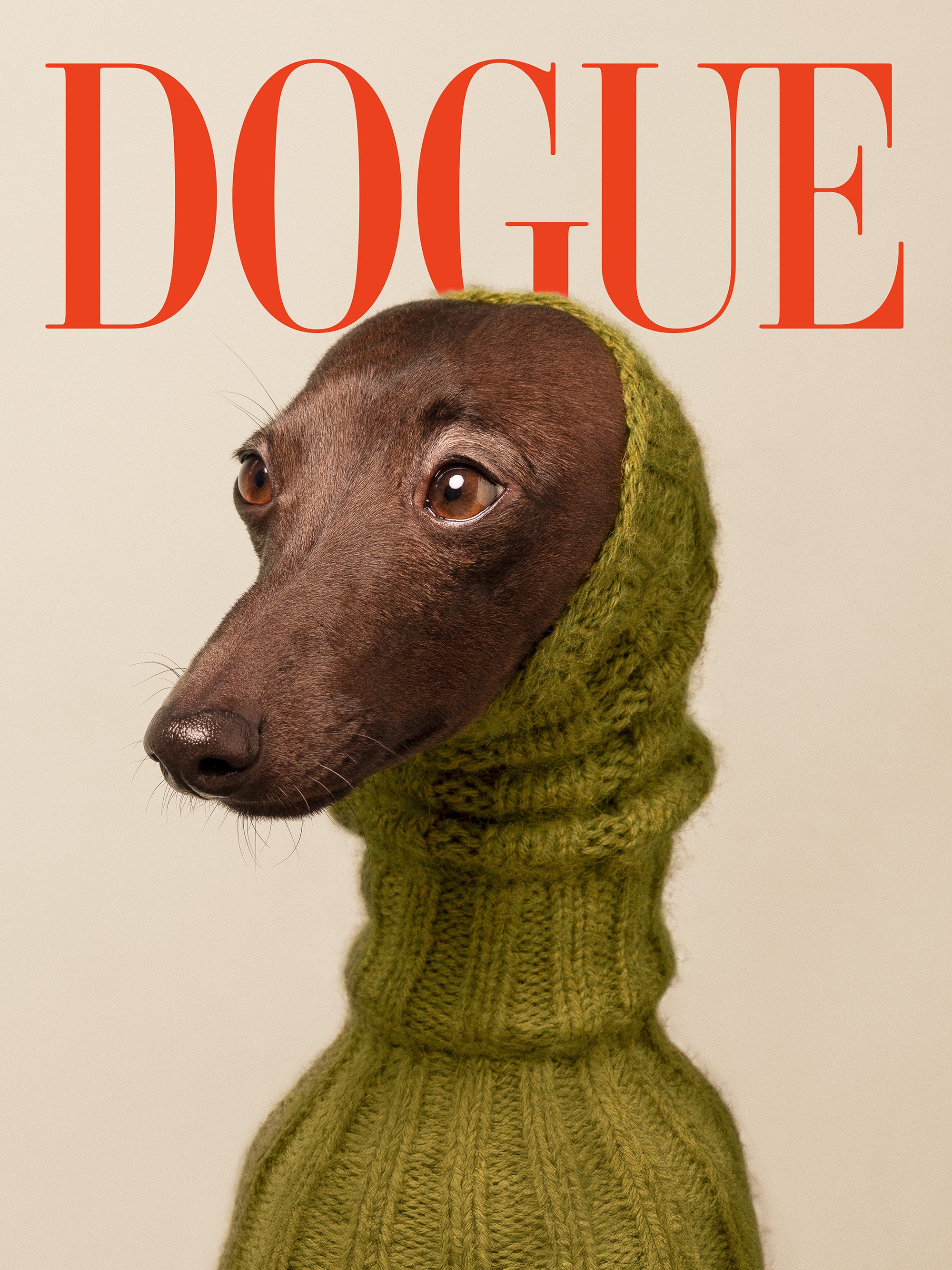 Dogue No2 Print