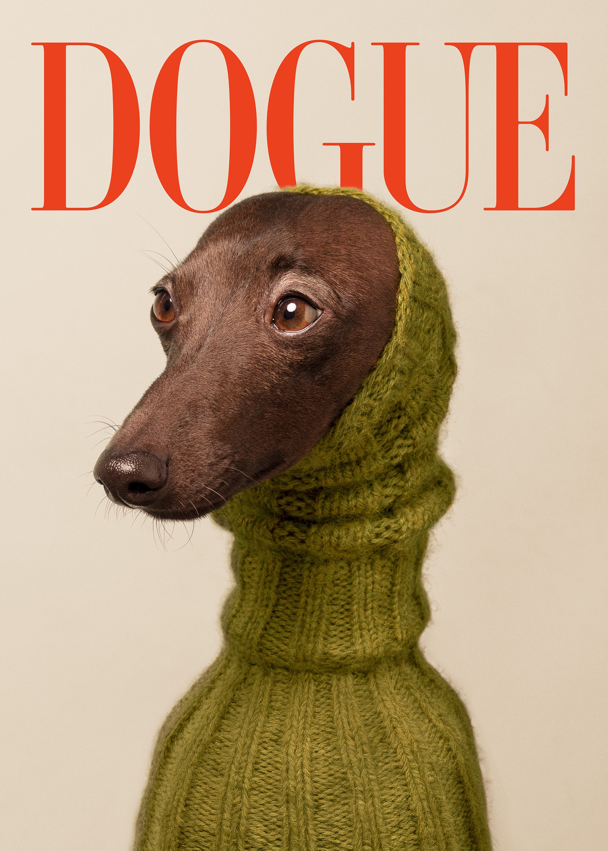 Dogue No2 Print