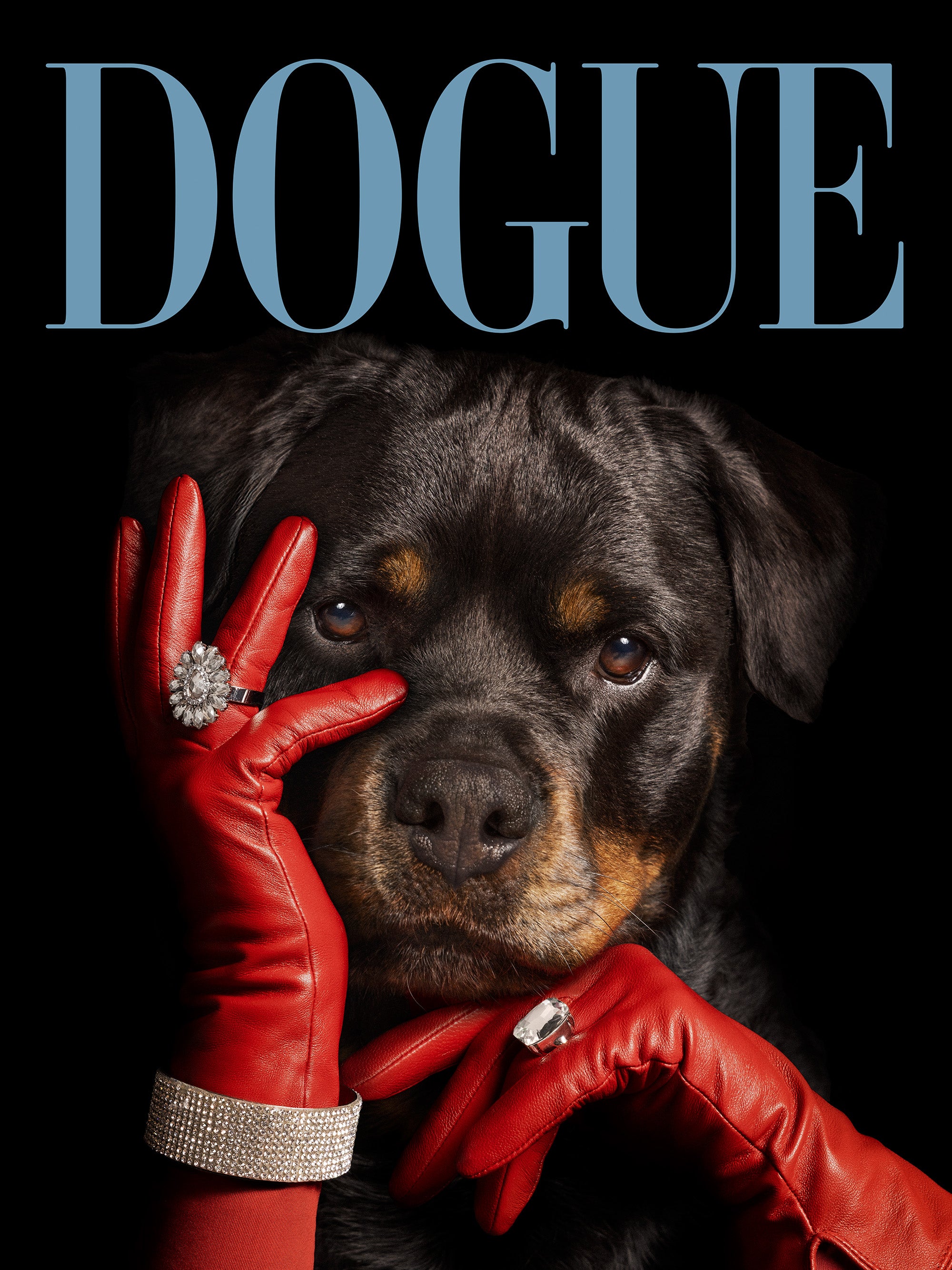 Dogue No3 Print